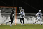 MLax vs Anna Maria  Men’s Lacrosse season opener vs Anna Maria College. : MLax, lacrosse